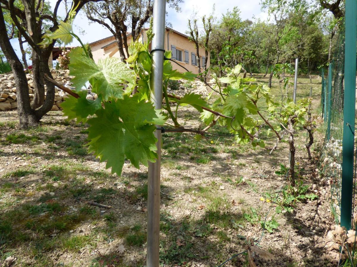 Gites De L'Esquirou Lagorce  Exterior foto